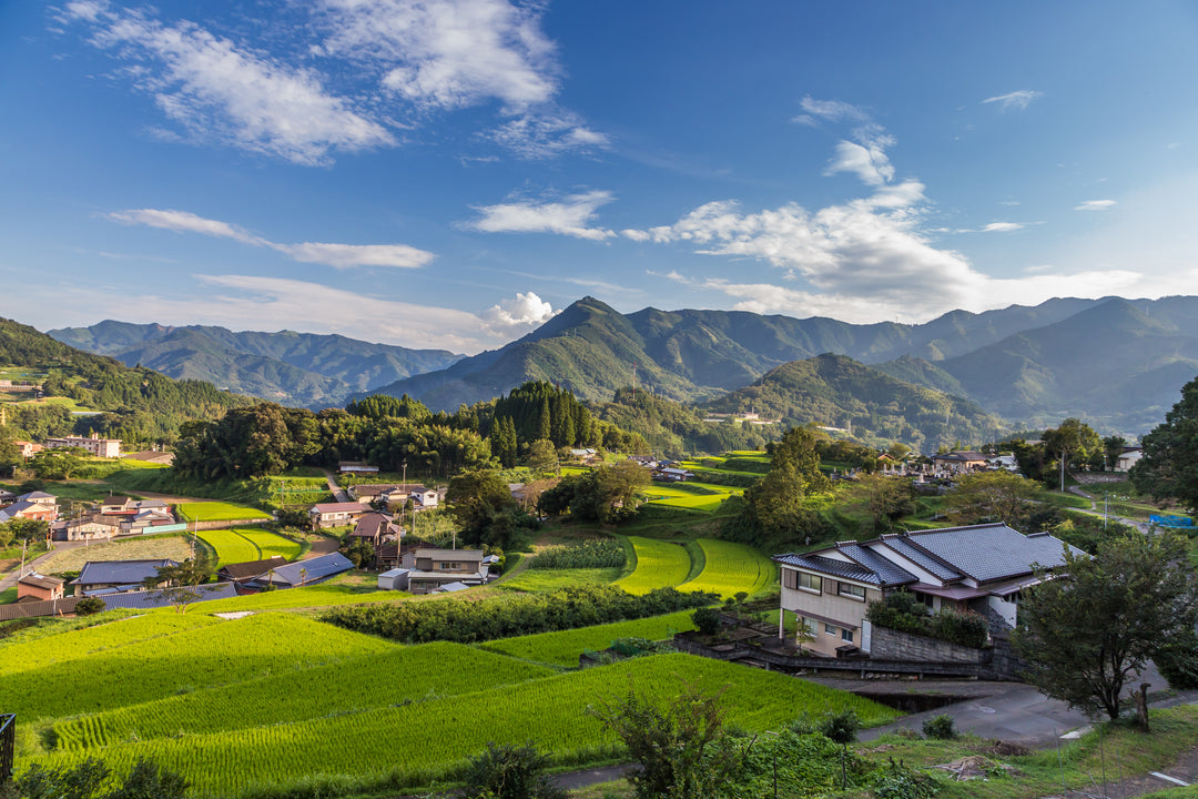 Tee-Anbaugebiet in Miyazaki - Japan