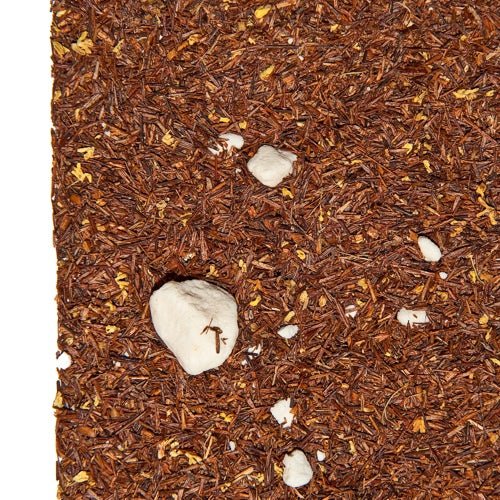 Rooibos Eierpunsch