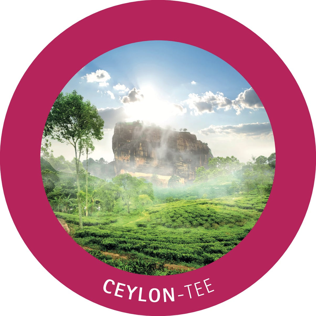 Tee - Probierbox Ceylon - Tee