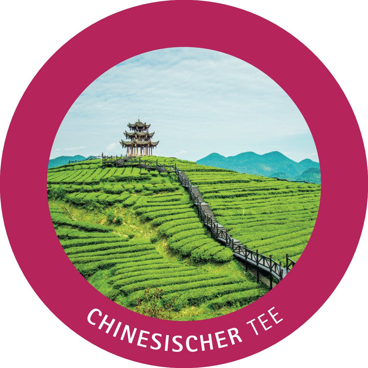 Tee - Probierbox chinesischer Tee