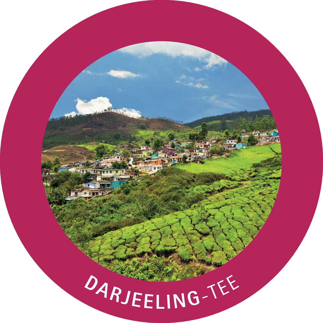 Tee - Probierbox Darjeeling